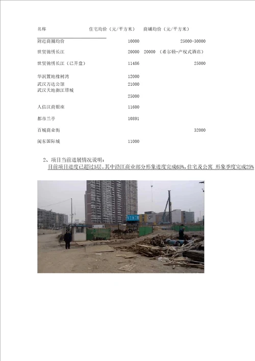 尽职调查报告