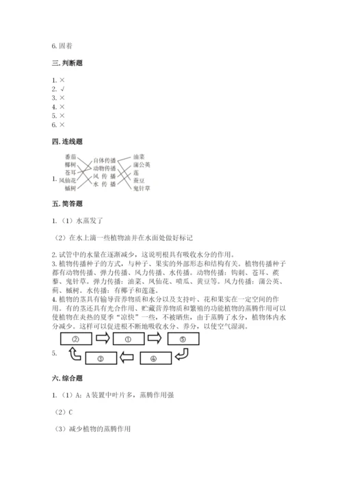 科学四年级下册第一单元植物的生长变化测试卷精品（必刷）.docx
