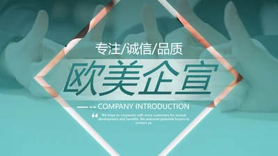 欧美风商业提案公司介绍企业宣传PPT模板