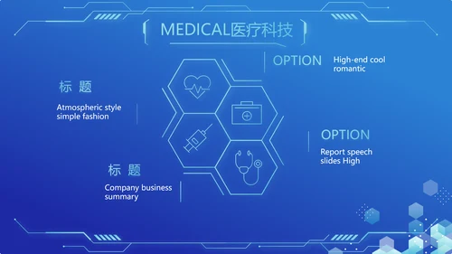 蓝色医疗科技信息化建设工作总结PPT