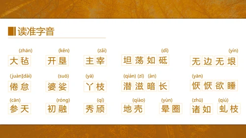 初中语文茅盾《白杨礼赞》PPT教学课件