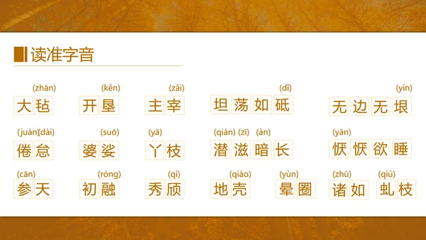 初中语文茅盾《白杨礼赞》PPT教学课件