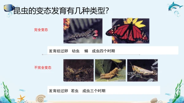 人教版八年级下册生物复习课件