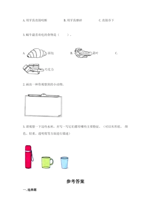 教科版一年级下册科学期末测试卷（考点精练）.docx