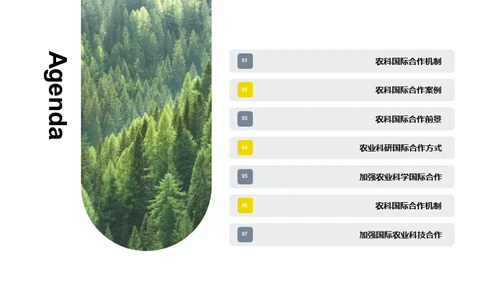 农科全球化：合作篇