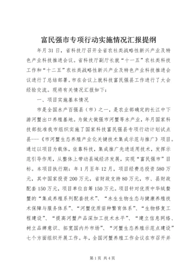 富民强市专项行动实施情况汇报提纲.docx