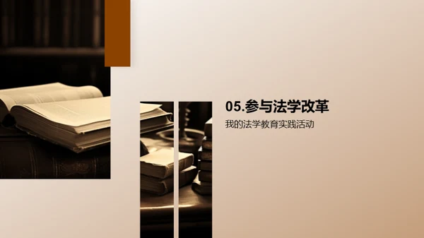 法学教育：我为改革献策