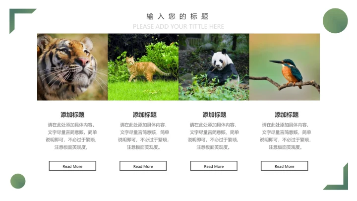 人与自然大熊猫活动宣传通用PPT模板