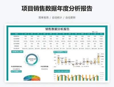 项目销售数据年度分析报告