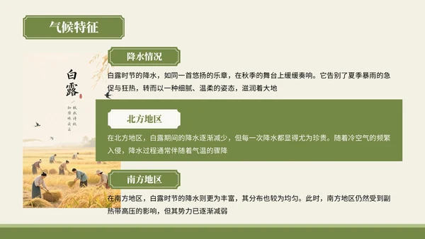 绿色中国风风格白露秋俗韵味悠长PPT模板