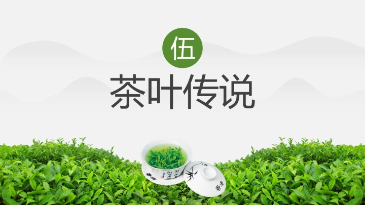 茶叶的故事 中国传统茶文化介绍主题班会课件