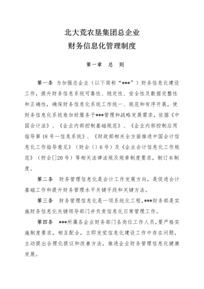 集团财务信息化管理新规制度.docx