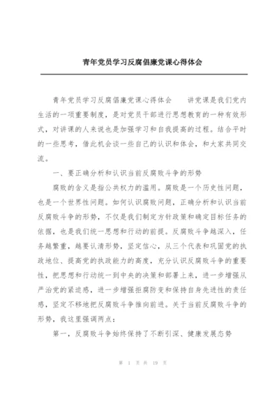 青年党员学习反腐倡廉党课心得体会.docx