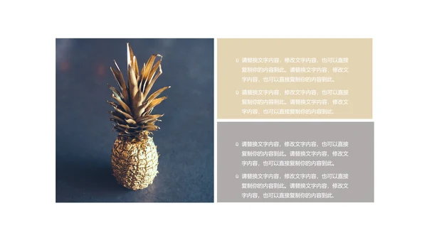 黑色简约风高端经典总结汇报PPT模板