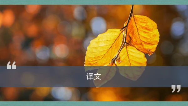 课外古诗词诵读 浣溪沙（一曲新词酒一杯）课件