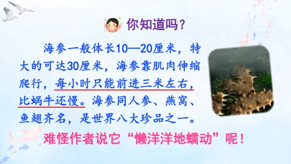 18.富饶的西沙群岛   课件