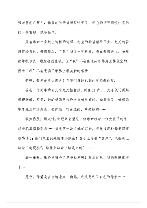 棕熊的故事读书笔记例文