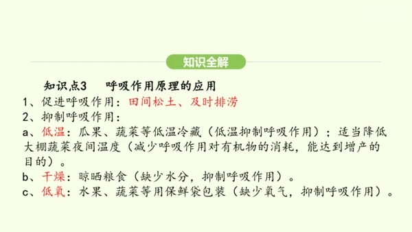 第三单元-第二章-第三节-呼吸作用课件-2024-2025学年七年级生物下学期人教版(2024)(共