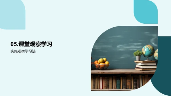 深化观察学习理解