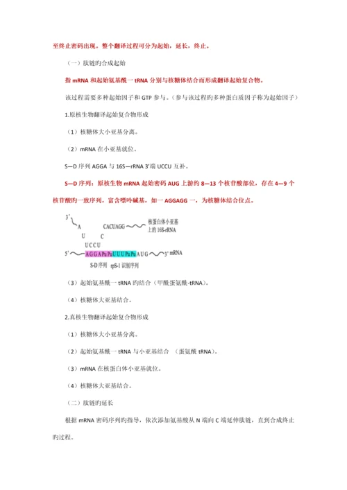 2023年执业医师最新最全考点解析系列生物化学部分第十节蛋白质生物合成.docx