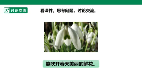 部编1A 第8单元 第11课 会写的字与单元阅读 课件