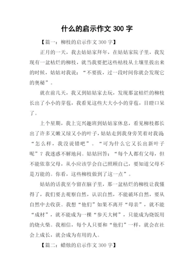 什么的启示作文300字.docx