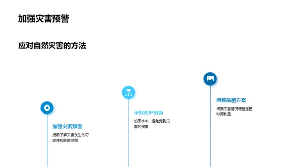 绿色守护者：林保行动