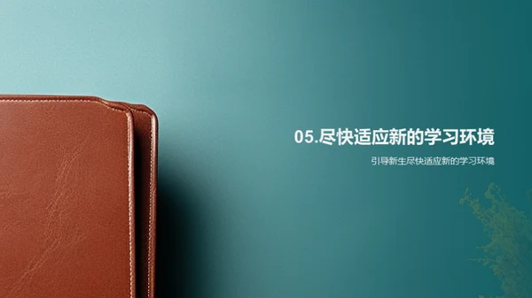初中学习新征程