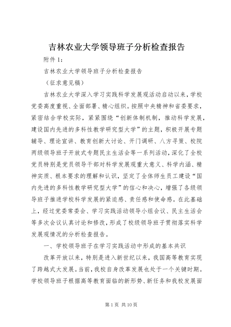 吉林农业大学领导班子分析检查报告.docx