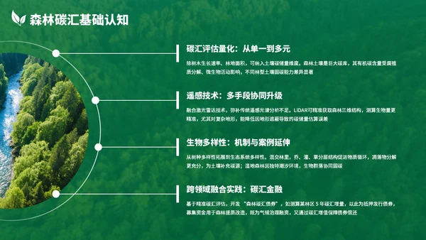 绿色清新森林生态环境保护调研汇报PPT模板