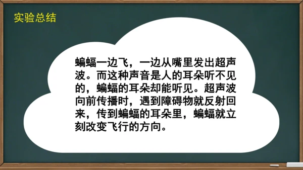 6 夜间飞行的秘密（课件）