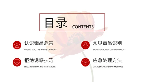 红色简约风远离毒品PPT