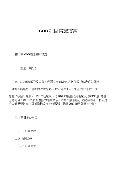 COB项目实施方案