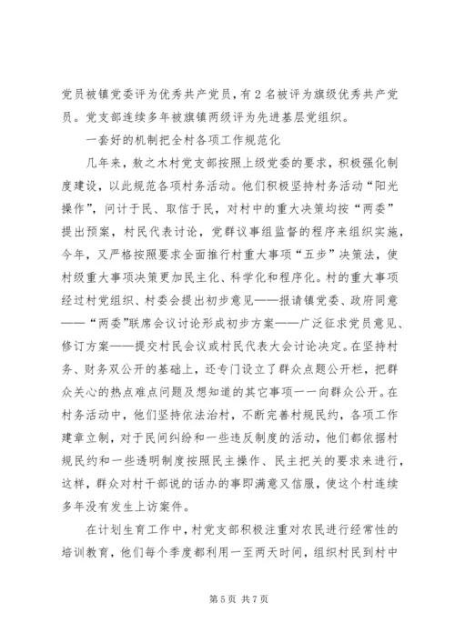 村党支部经验材料.docx