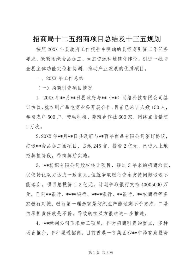 招商局十二五招商项目总结及十三五规划.docx