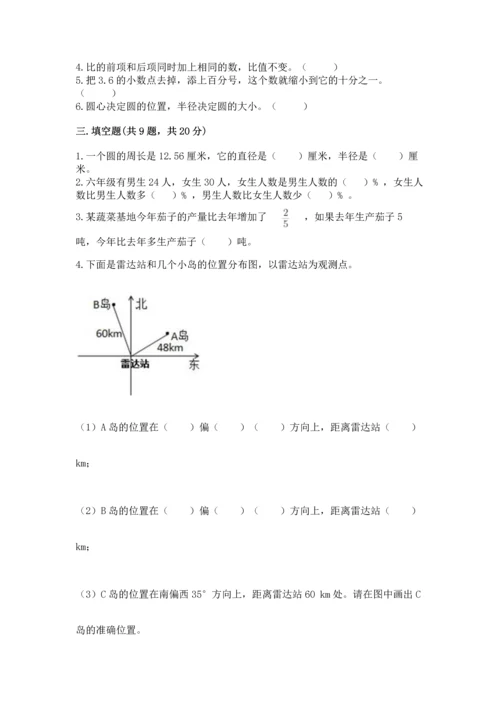 小学数学六年级上册期末测试卷附完整答案（典优）.docx