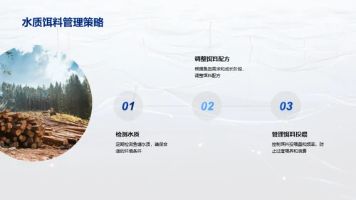 优化鱼塘经营策略
