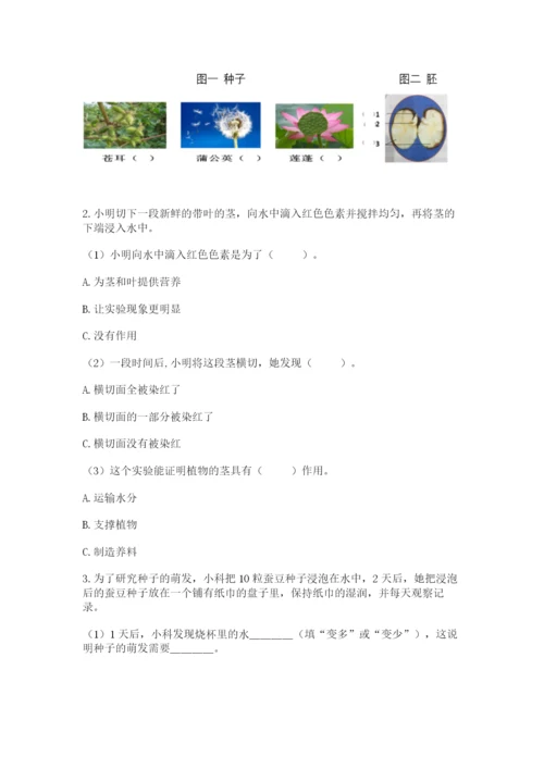 教科版科学四年级下册第一单元《植物的生长变化》测试卷精品含答案.docx