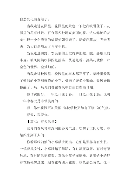 关于春天风景的作文.docx