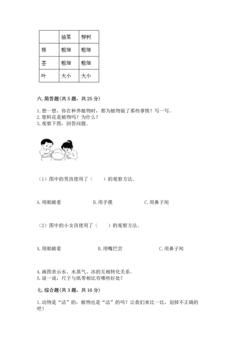 教科版小学一年级上册科学期末测试卷（名师系列）.docx