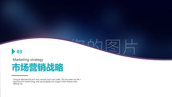 精品大气企业宣传市场营销战略
