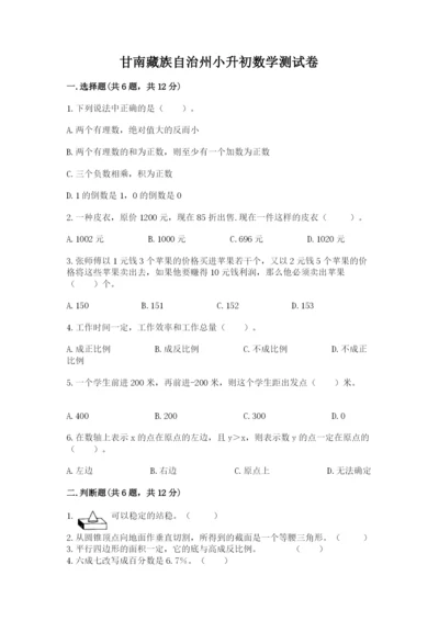 甘南藏族自治州小升初数学测试卷推荐.docx