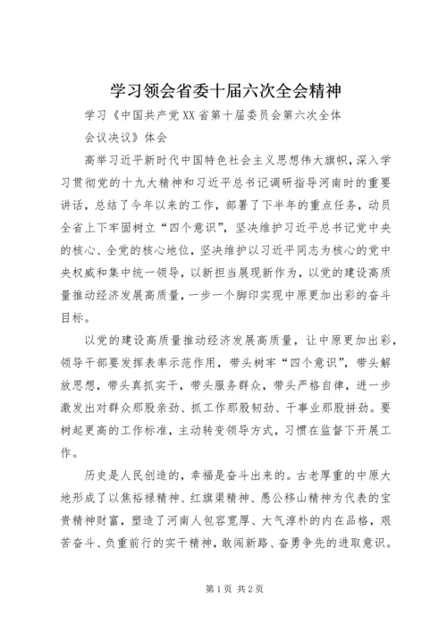 学习领会省委十届六次全会精神.docx