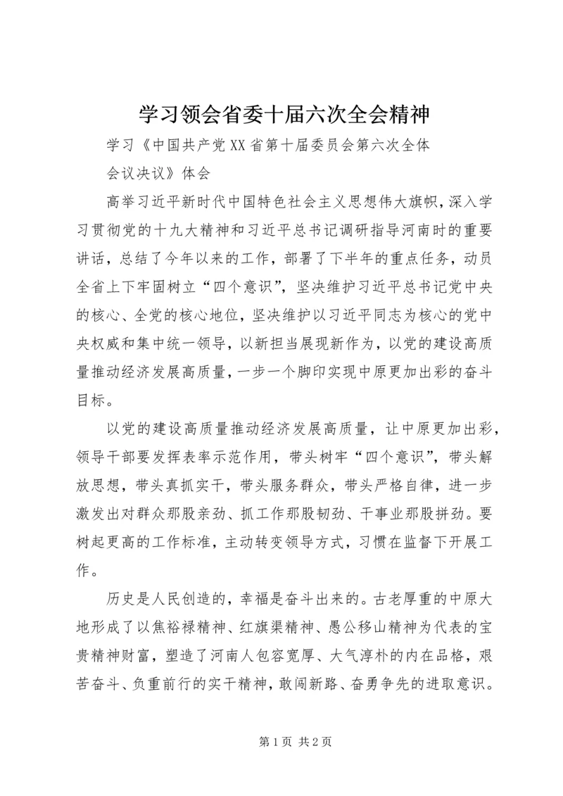 学习领会省委十届六次全会精神.docx