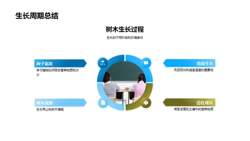 科学植树实践探索