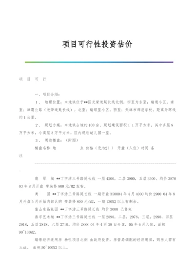 项目可行性投资估价.docx