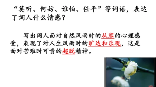 九年级下册 第三单元 课外古诗词诵读《定风波》课件(共19张PPT)
