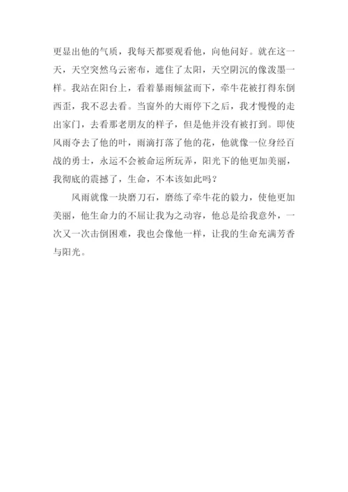 意外作文800字-40.docx