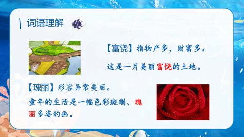 第18课《富饶的西沙群岛》课件