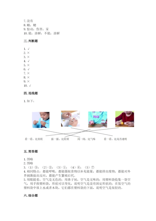 教科版一年级下册科学期末测试卷附完整答案【全优】.docx